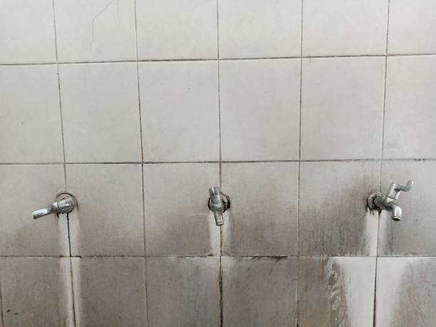 Best Mold removal after water damage  in Red Springs, NC