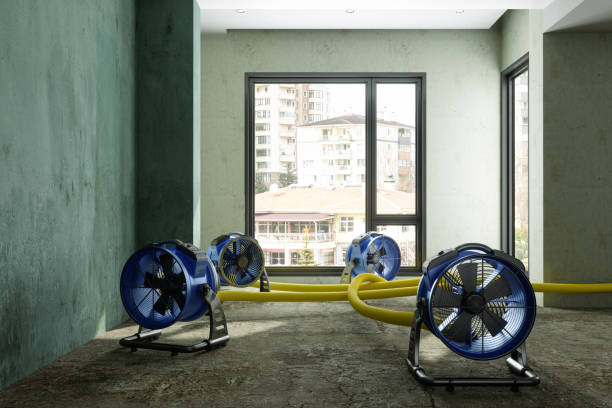 Best Water damage restoration near me  in Red Springs, NC